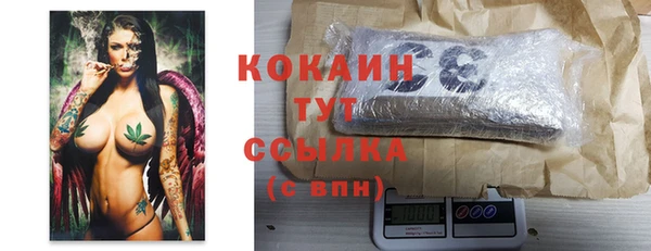 дмт Богородицк