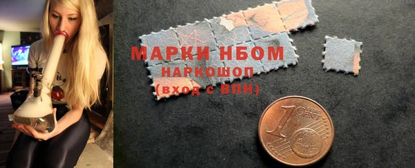 дмт Богородицк