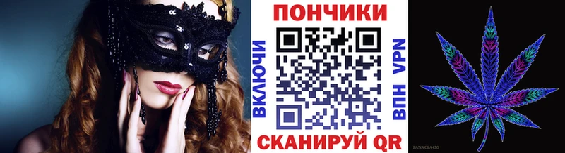OMG вход  Саранск  Бошки марихуана сатива 